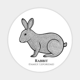 Rabbit with Latin Name - animal ink art design - on white Magnet